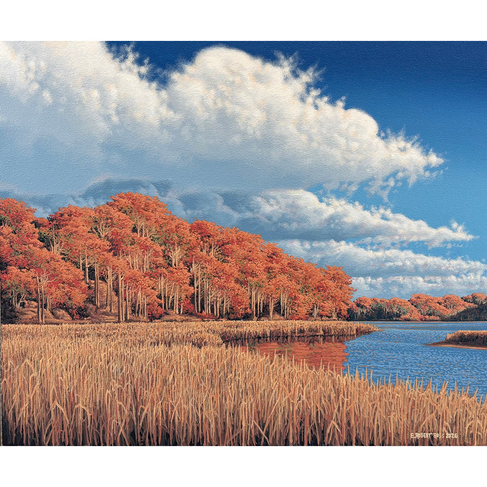 original artwork and paintings by E. Robert Ross available for rental or purchase at the Art Gallery of Hamilton's Art Sales and Services