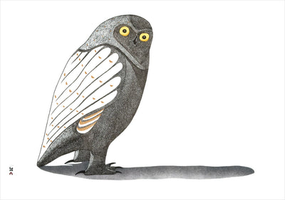 Owls Inuit Art Boxed Notecards