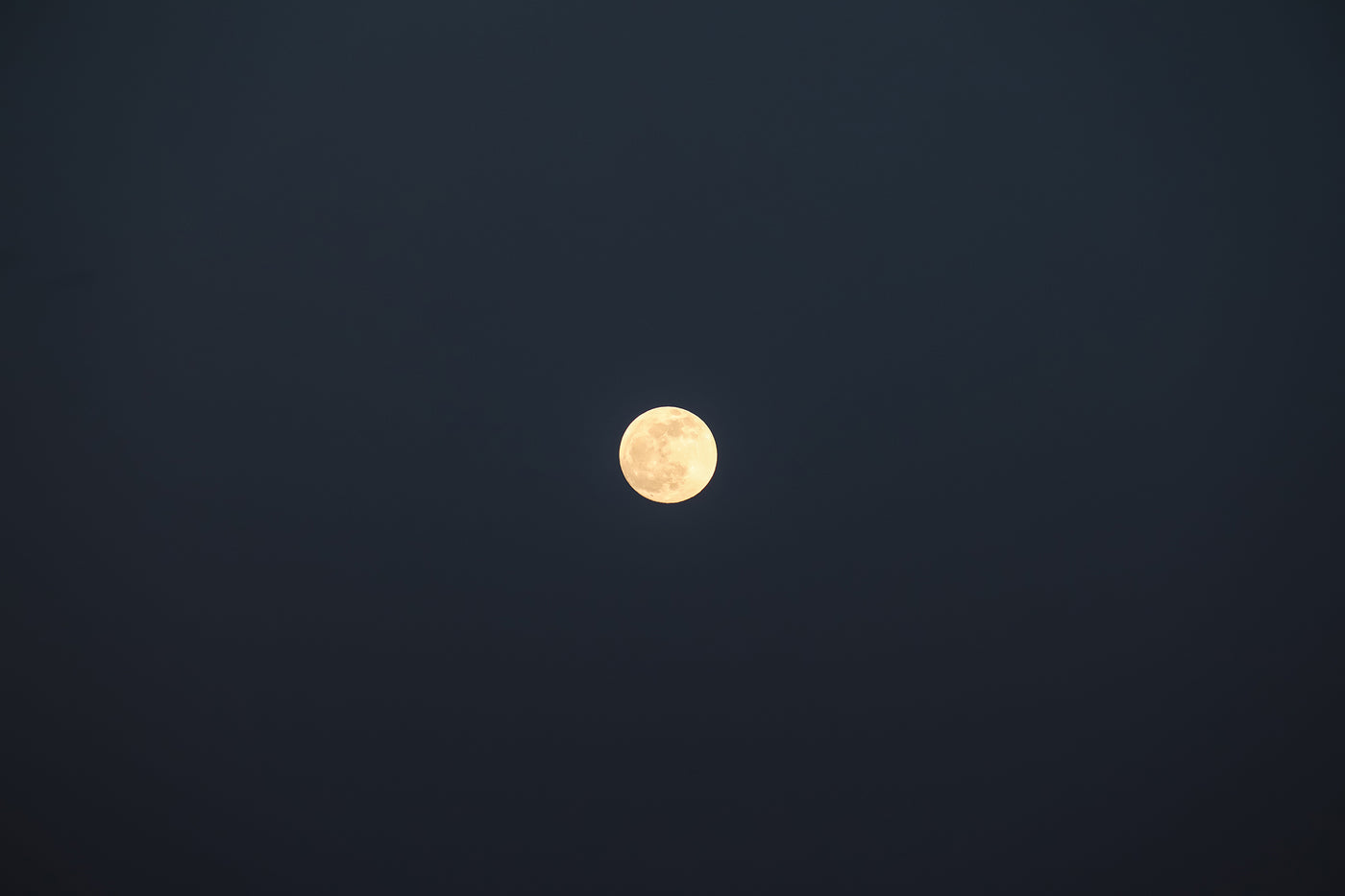 Alex Jacobs-Blum - Buck Moon