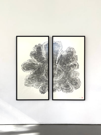 Marko Barakoski - Cerebellum Diptych