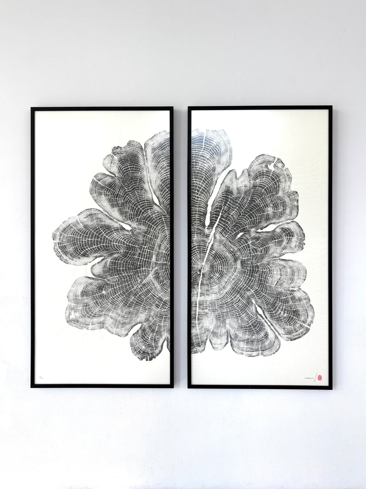 Marko Barakoski - Cerebellum Diptych