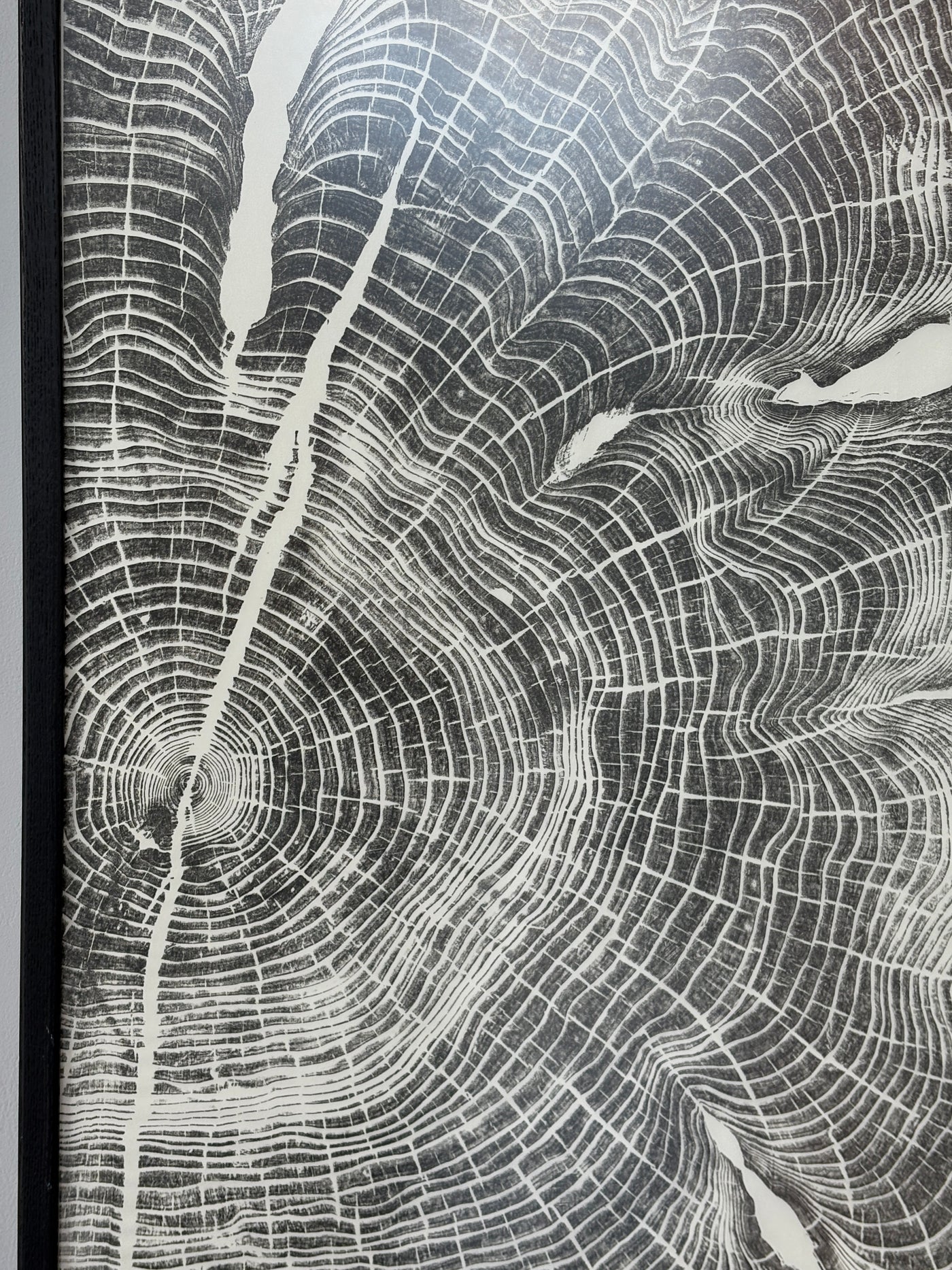 Marko Barakoski - Cerebellum Diptych