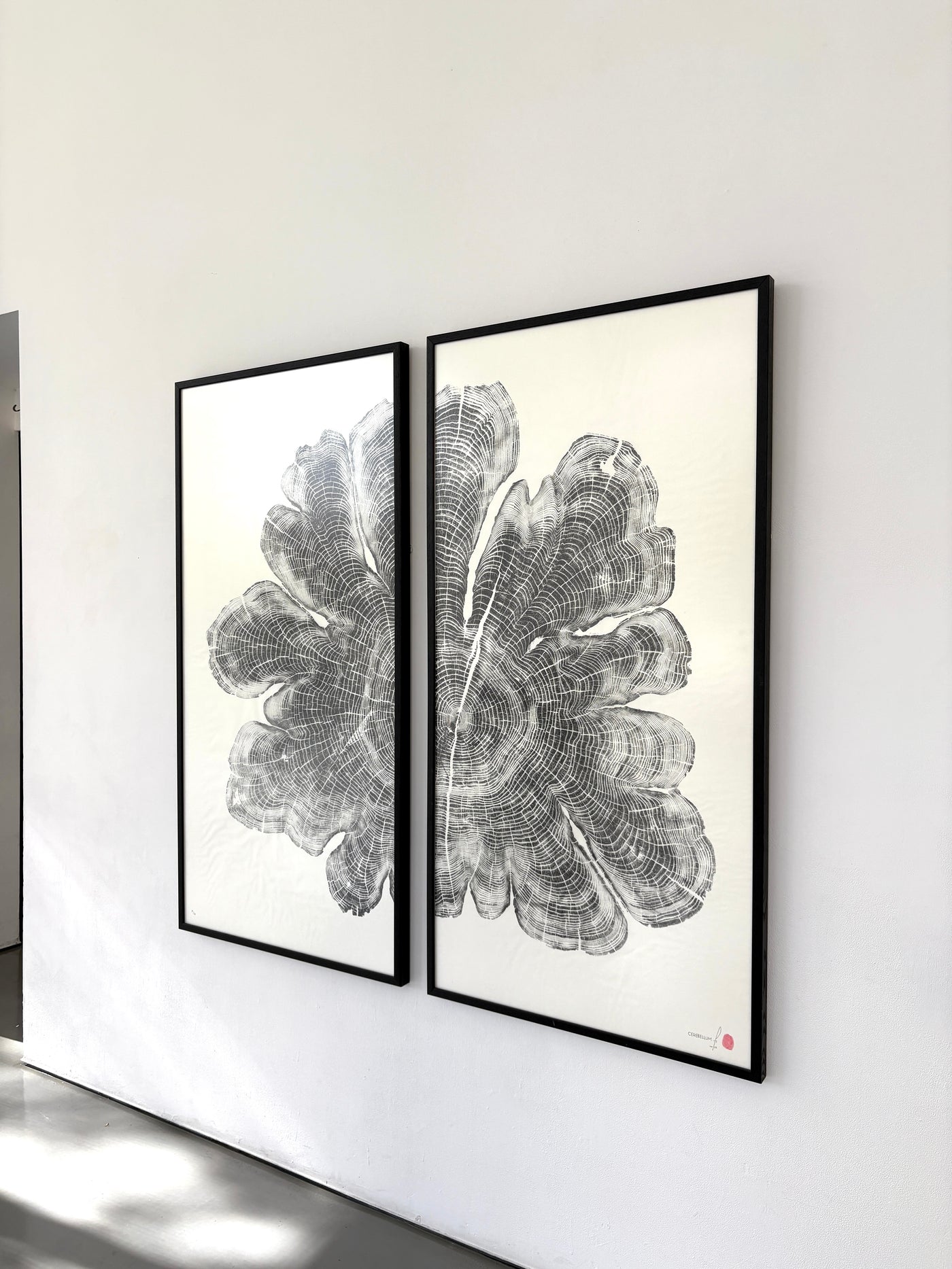 Marko Barakoski - Cerebellum Diptych