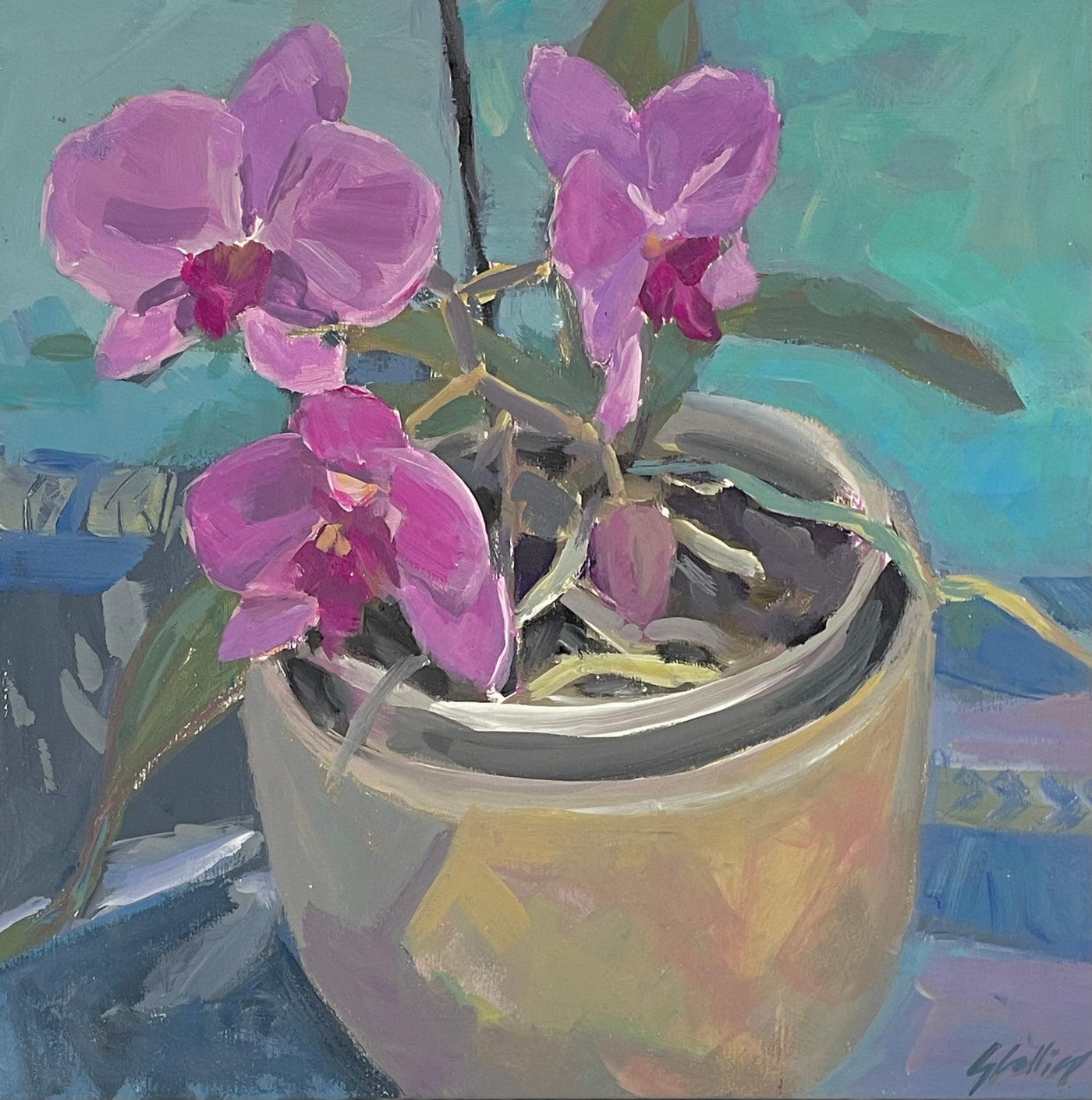 Gabriella Collier - My Orchids