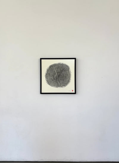 Marko Barakoski - Fraxinus