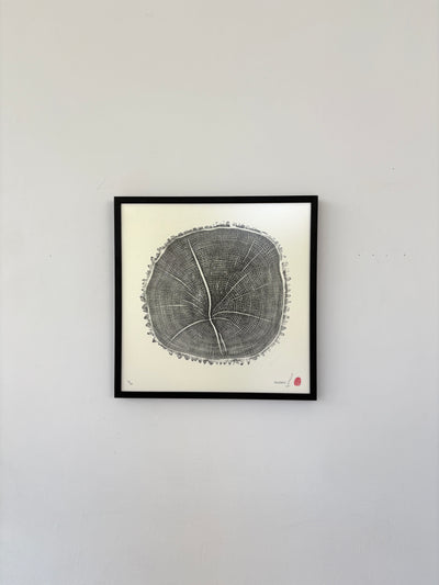 Marko Barakoski - Fraxinus