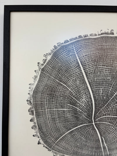 Marko Barakoski - Fraxinus