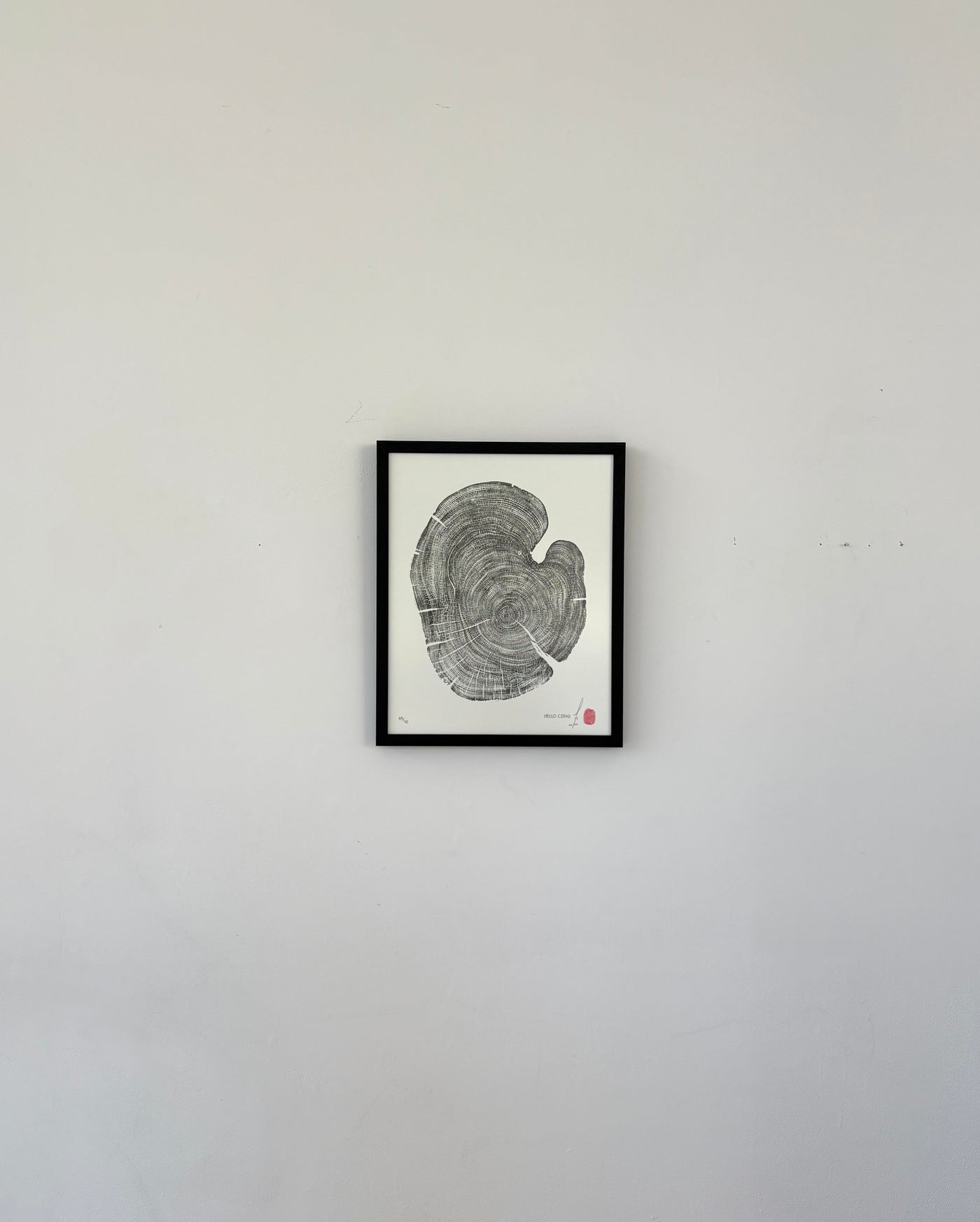 Marko Barakoski - Hello Cedar