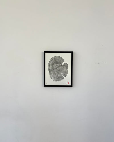 Marko Barakoski - Hello Cedar