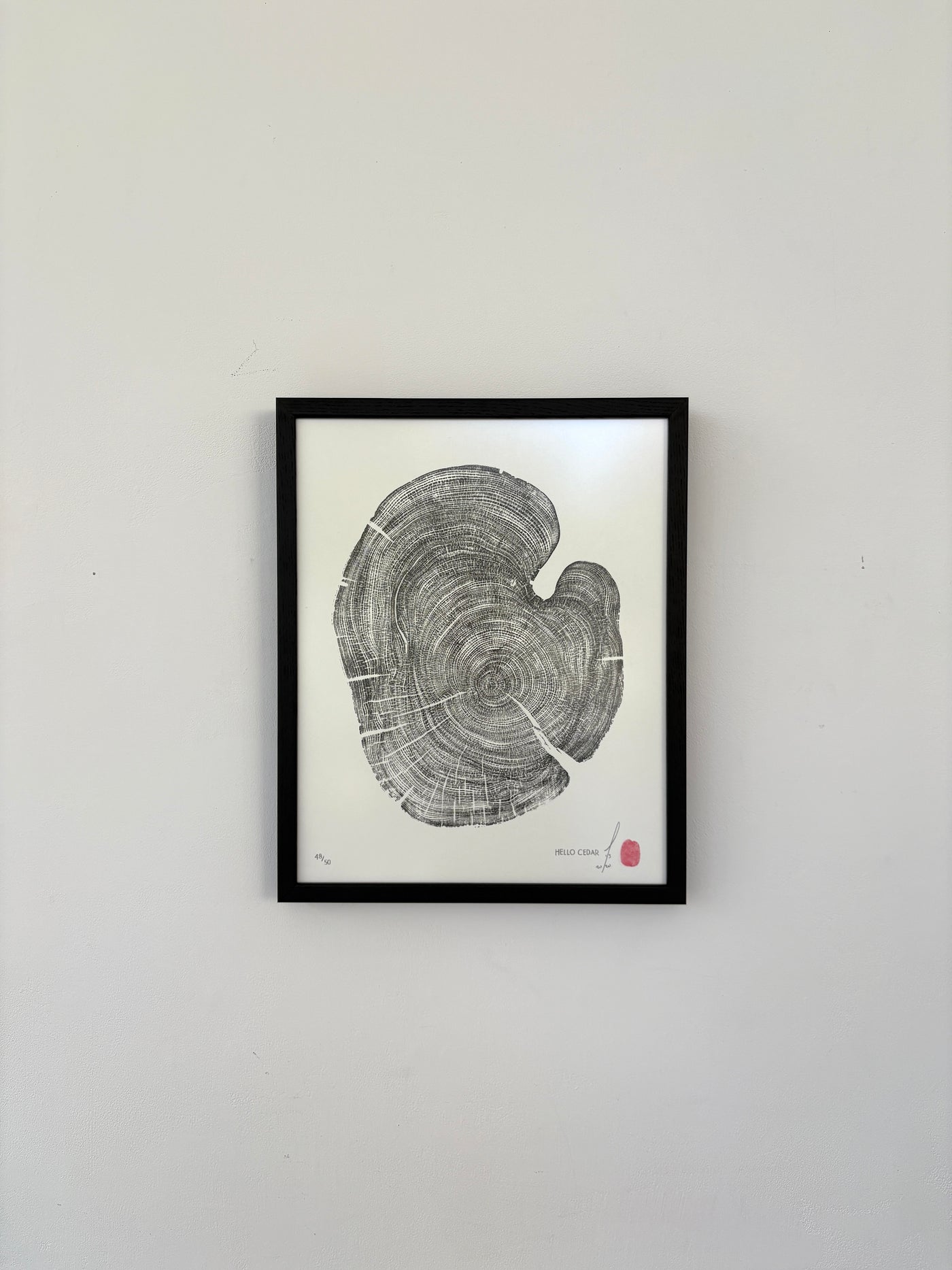 Marko Barakoski - Hello Cedar