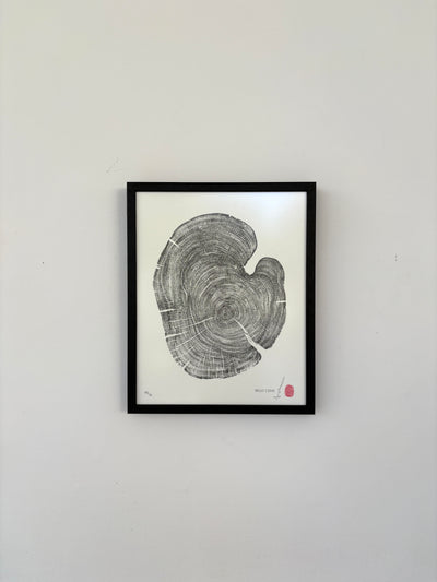 Marko Barakoski - Hello Cedar