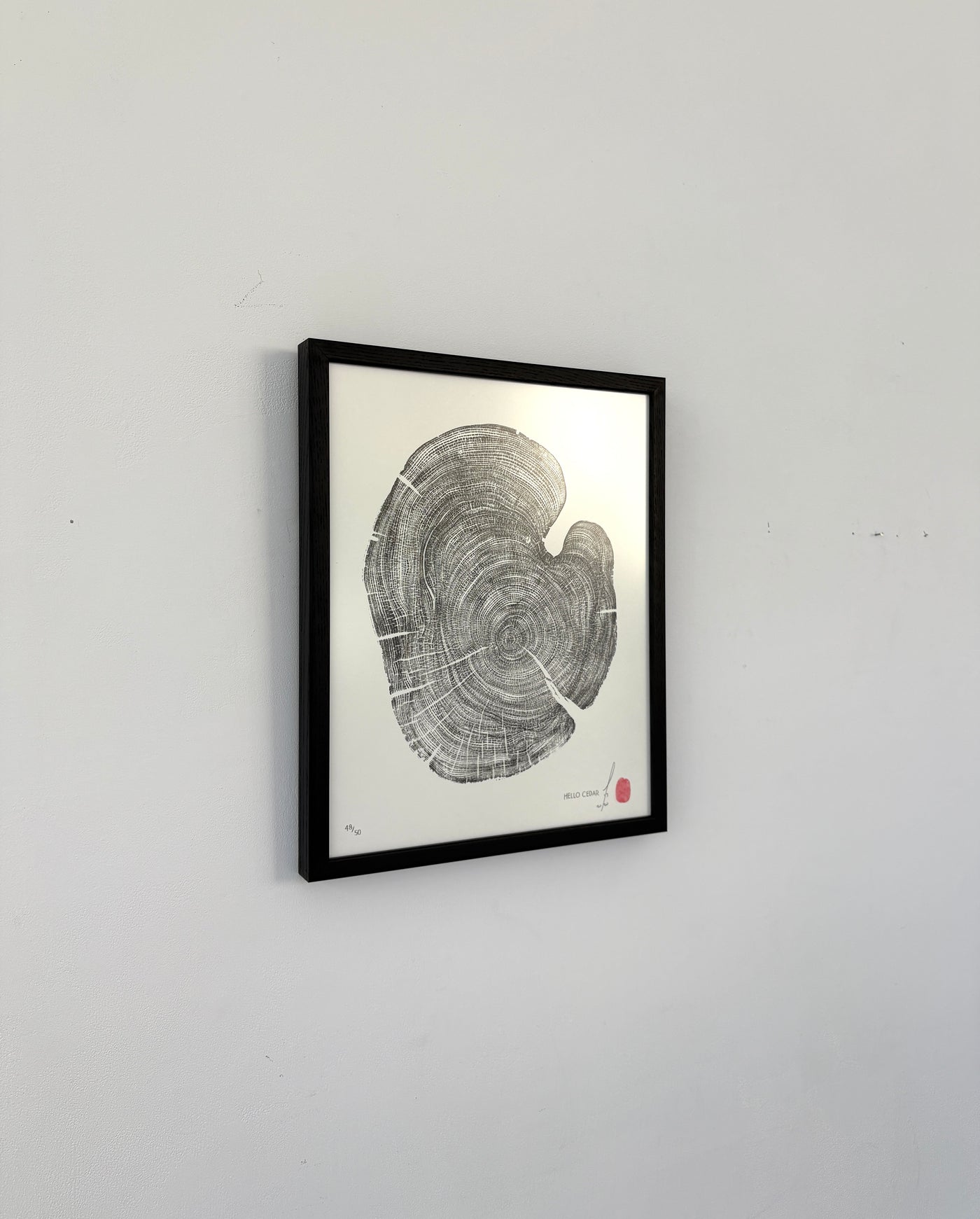 Marko Barakoski - Hello Cedar