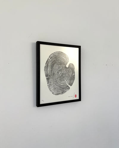 Marko Barakoski - Hello Cedar