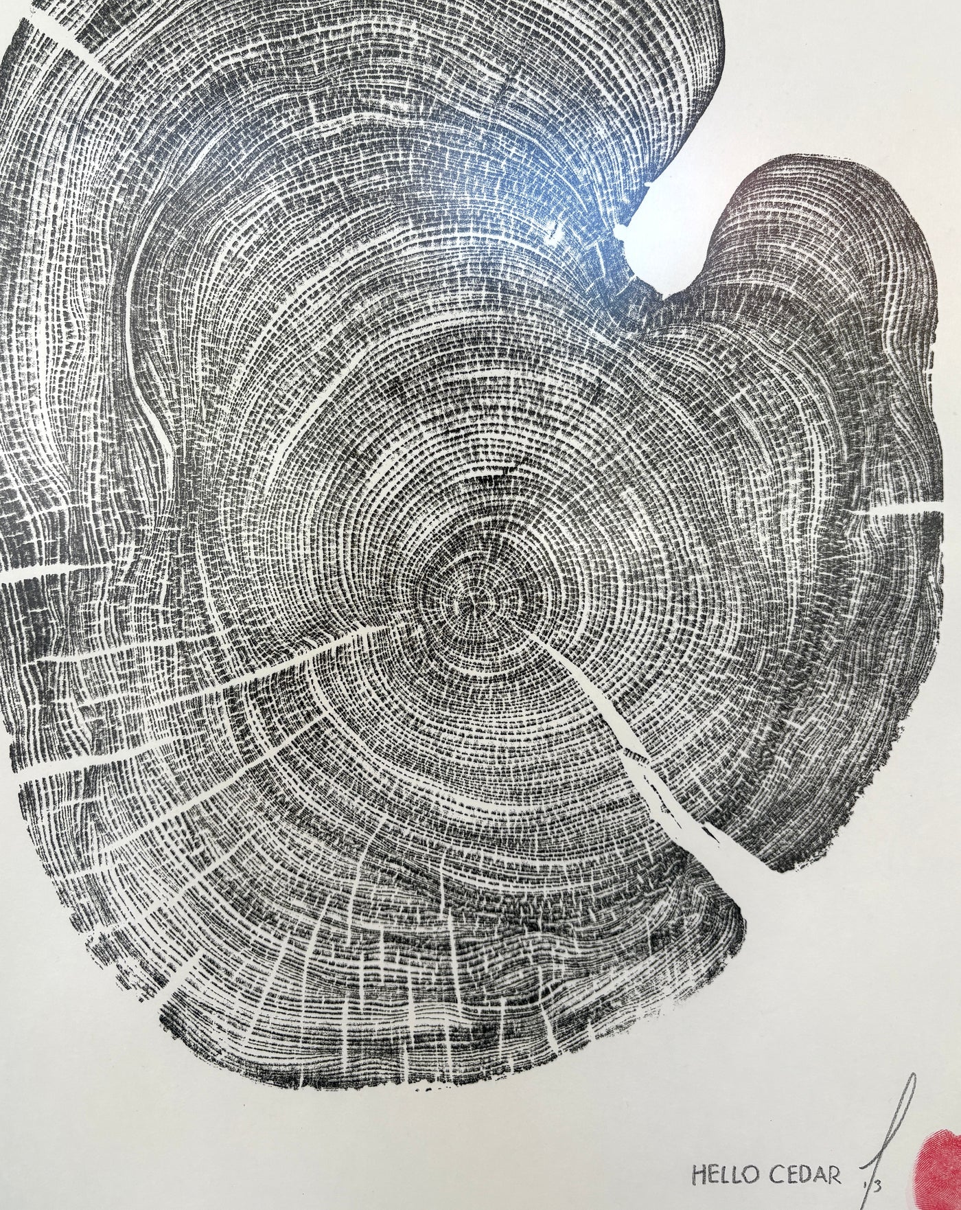 Marko Barakoski - Hello Cedar