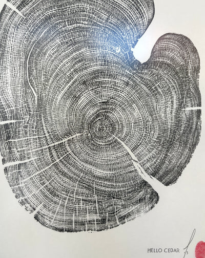 Marko Barakoski - Hello Cedar