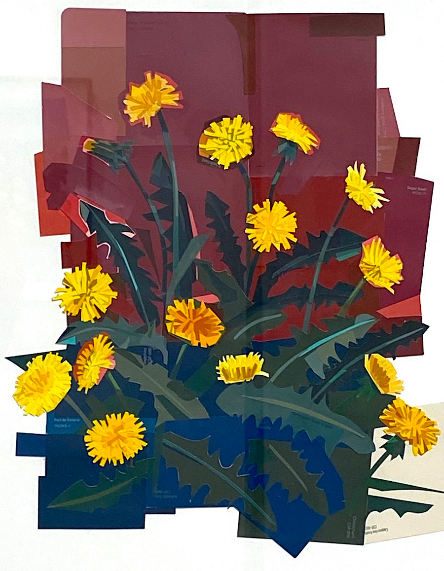 Adam Matak - Growing Like a Weed