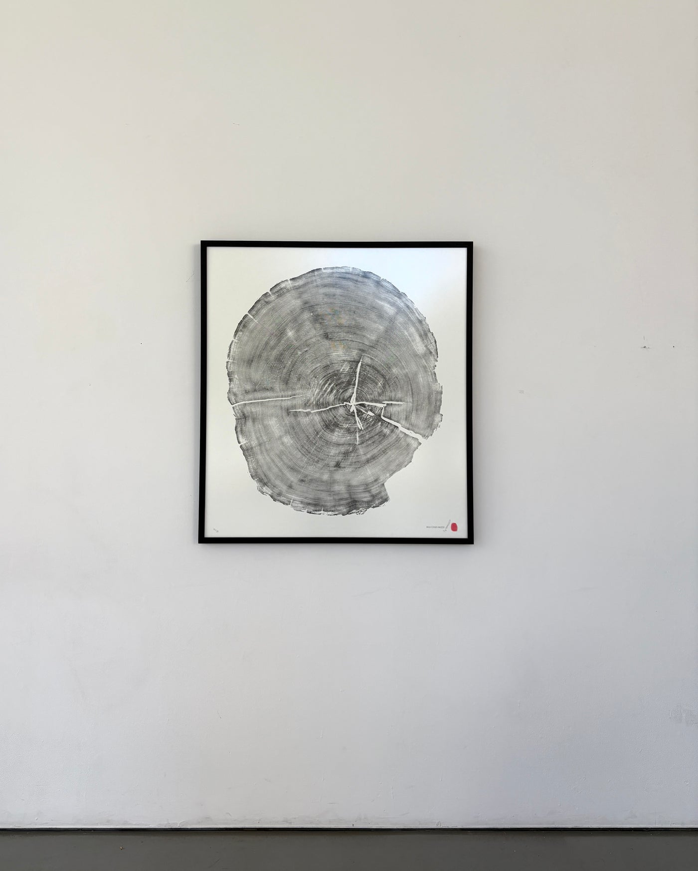 Marko Barakoski - Nuu Chah Nulth