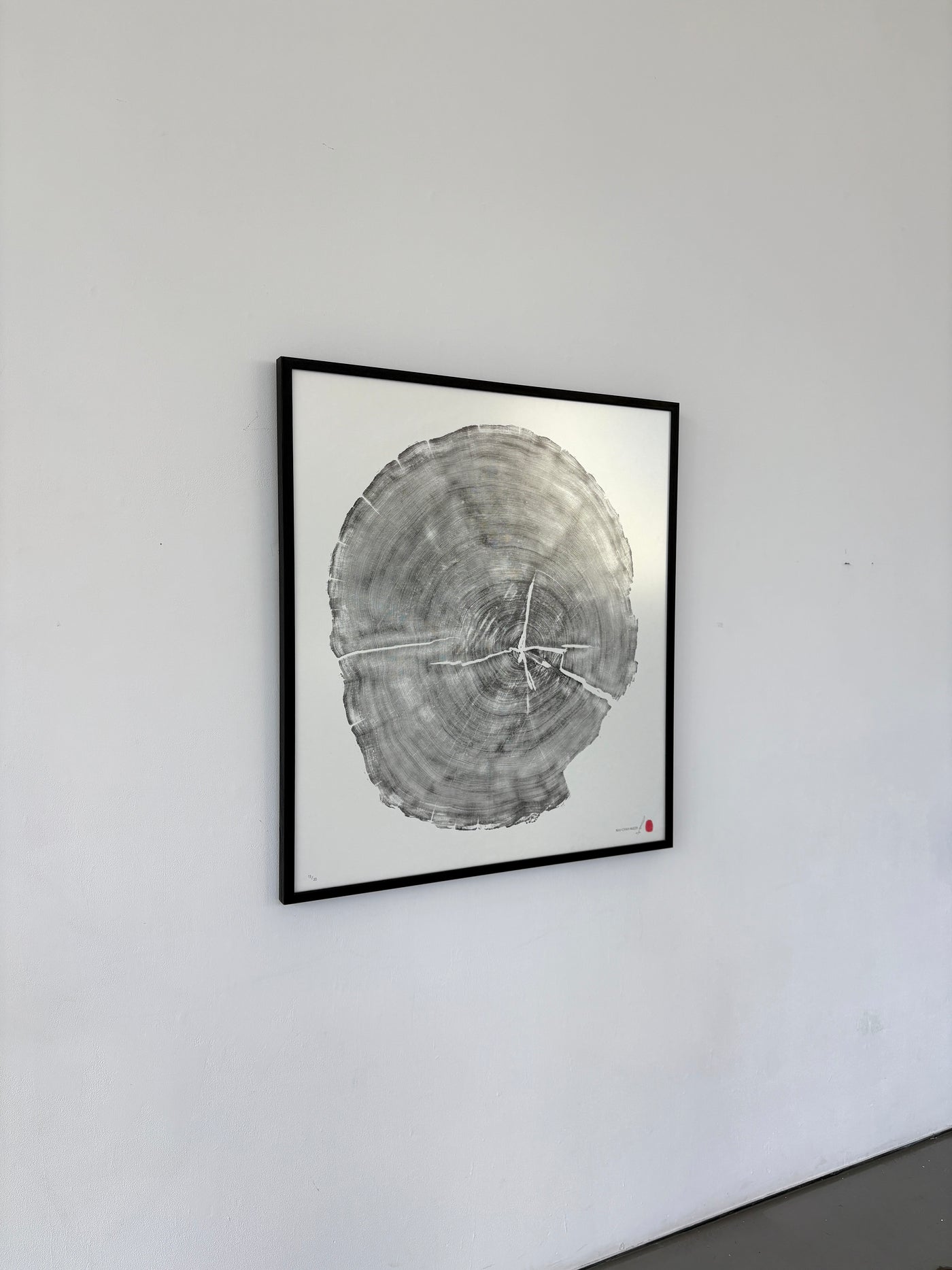 Marko Barakoski - Nuu Chah Nulth