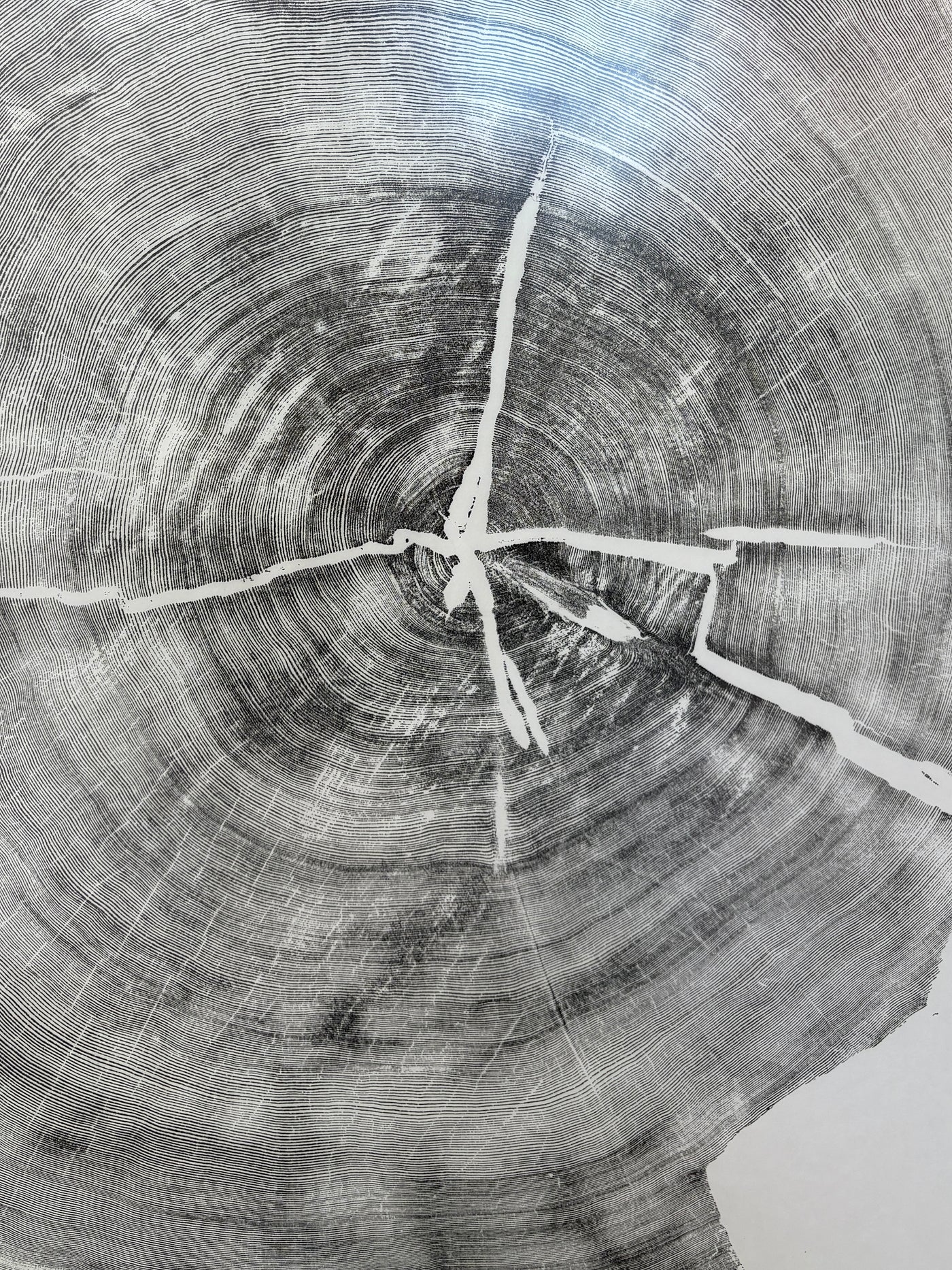 Marko Barakoski - Nuu Chah Nulth