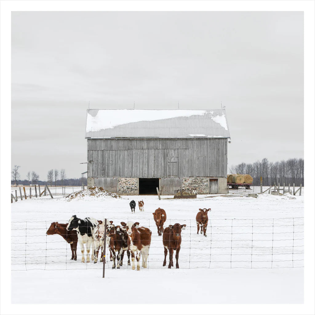 Martine Côté - Portrait # 031, Elmvale, Ontario, Canada, 2023 | -1°C