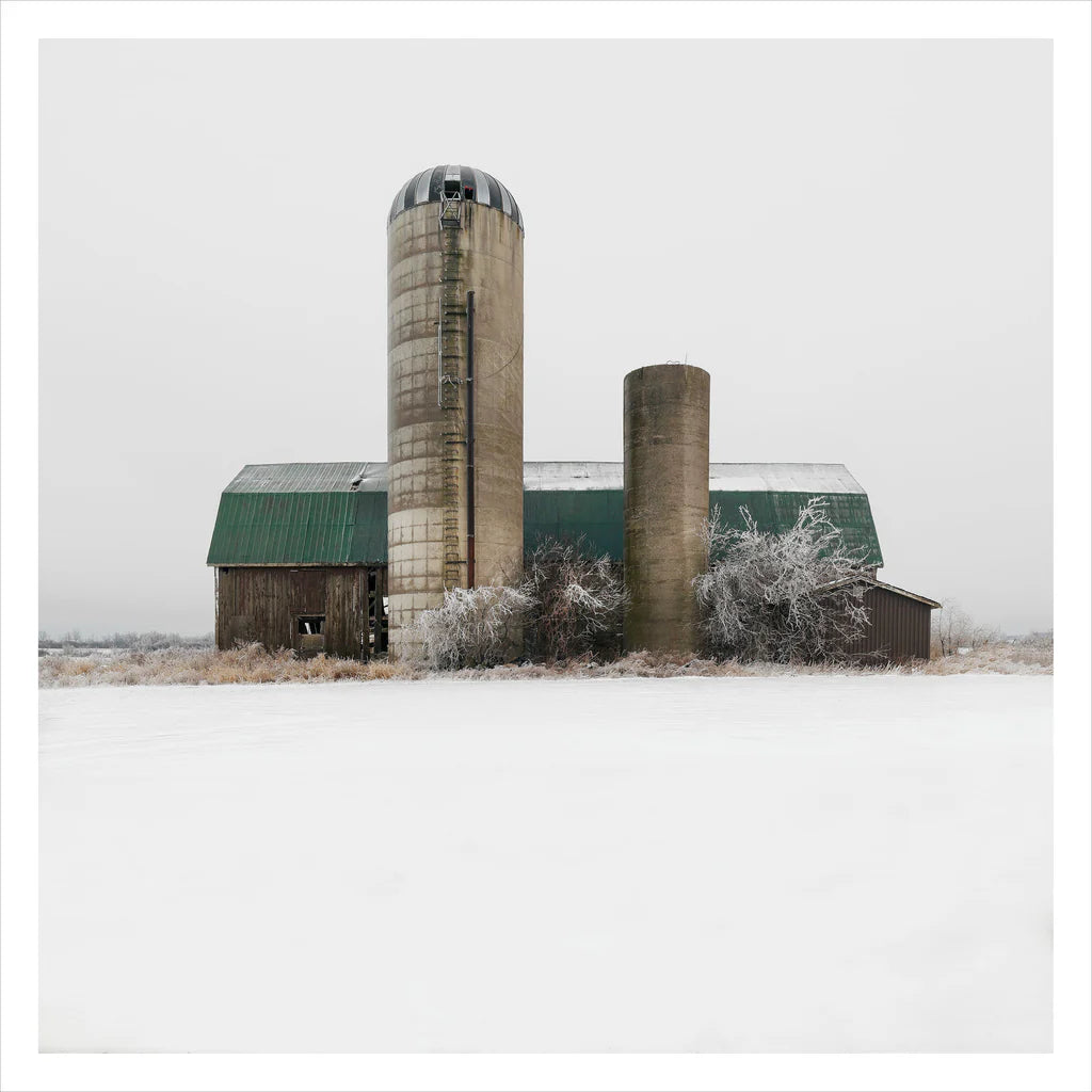 Martine Côté - Portrait # 033, Haldimand County, Ontario, Canada, 2023 | -3°C