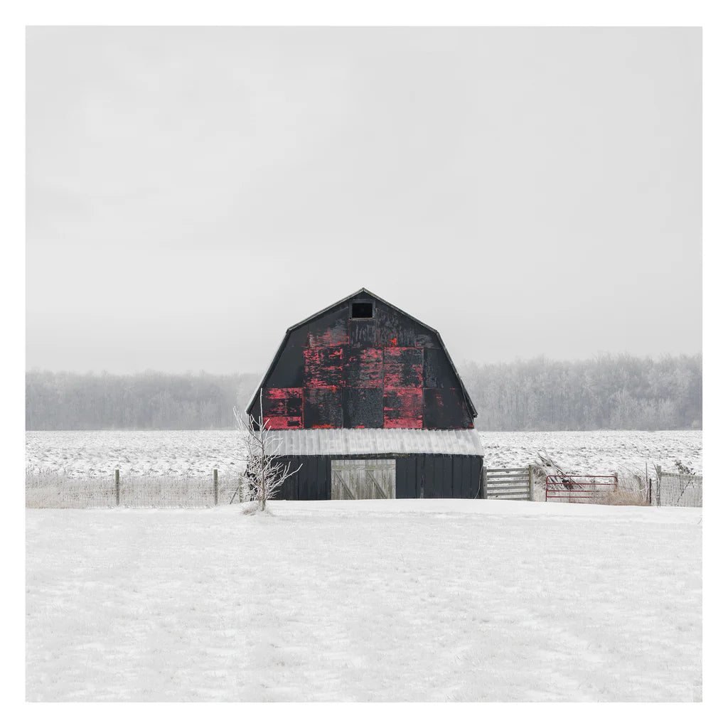 Martine Côté - Portrait # 036, Selkirk, Ontario, Canada, 2023 | -17°C