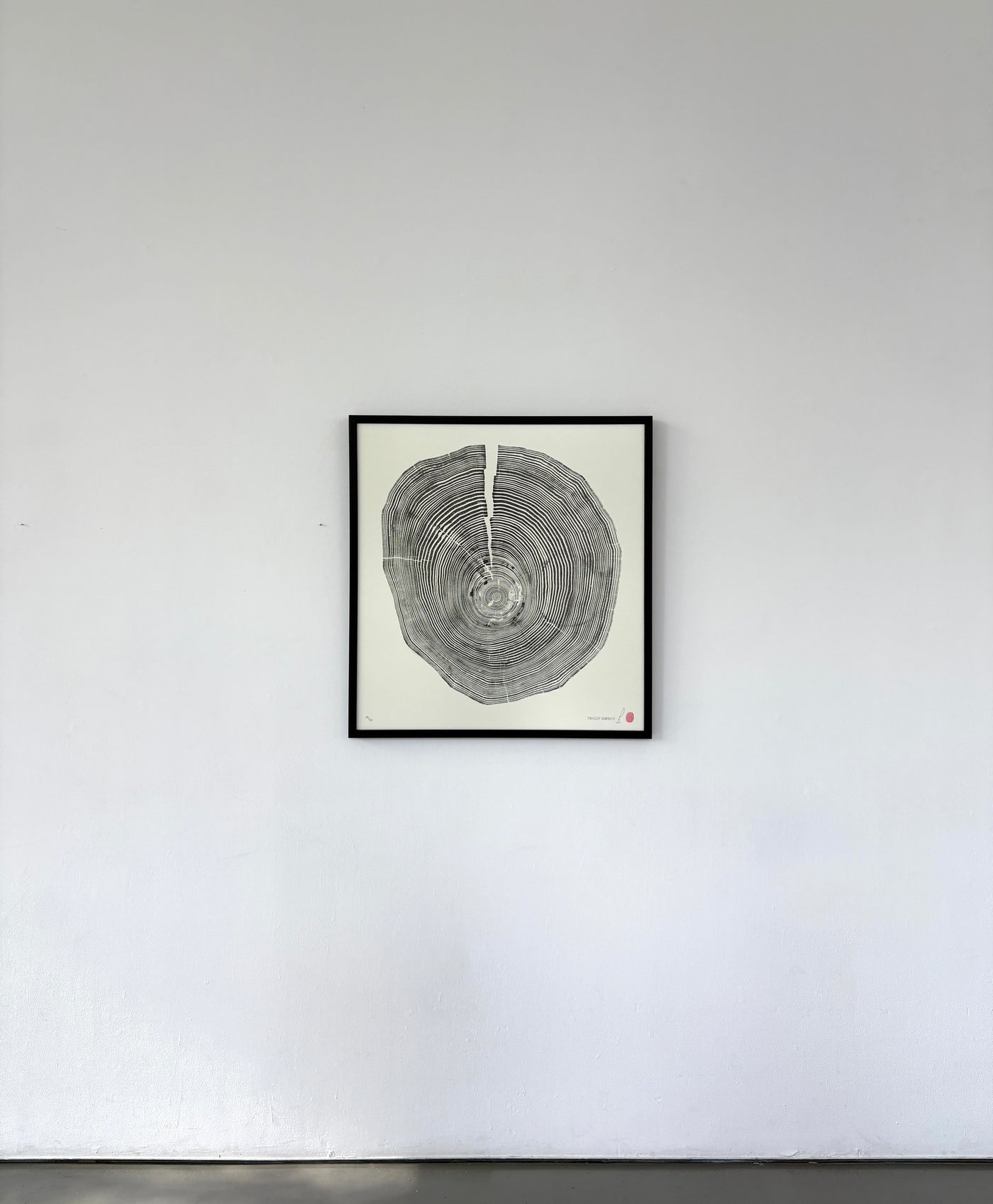 Marko Barakoski - Twiggy Sawdust