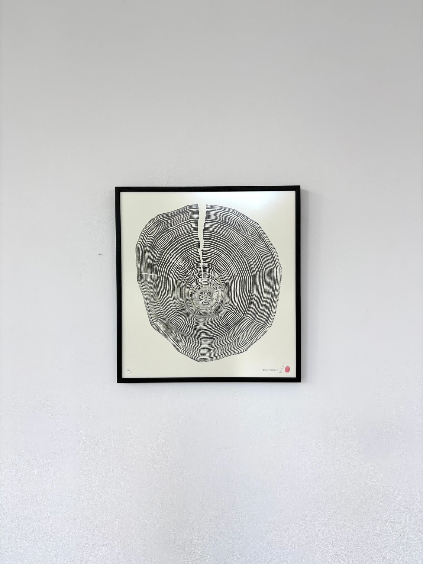 Marko Barakoski - Twiggy Sawdust