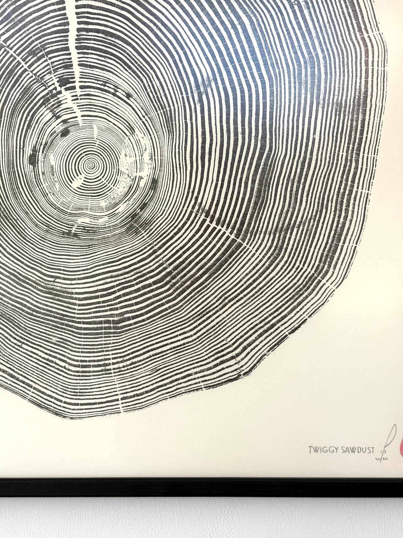 Marko Barakoski - Twiggy Sawdust