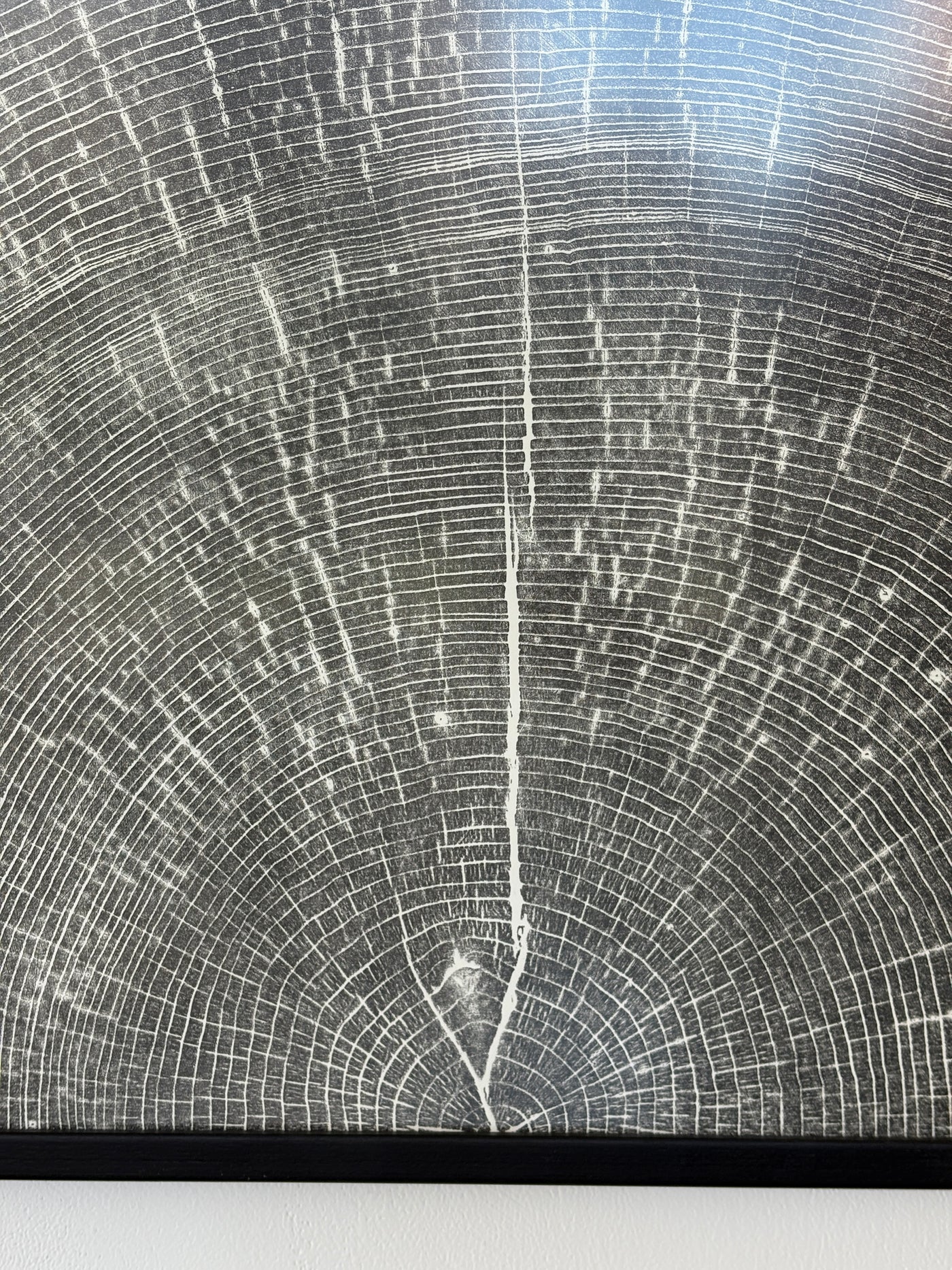 Marko Barakoski - Venus of the Woods