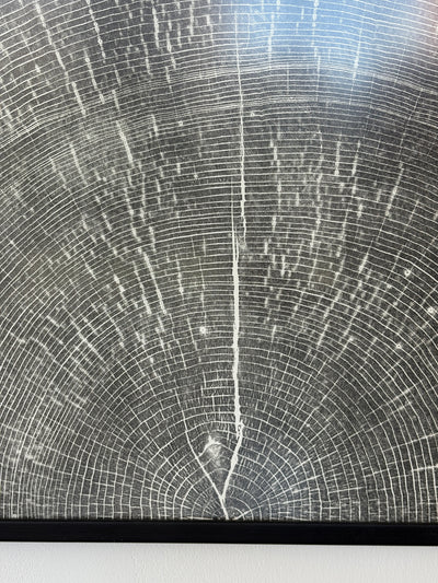 Marko Barakoski - Venus of the Woods