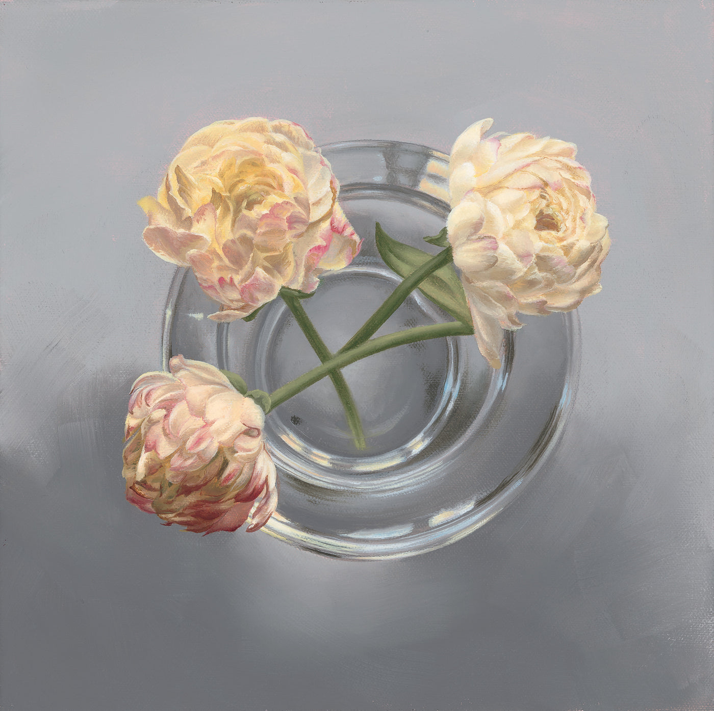 Marnie White - Blush