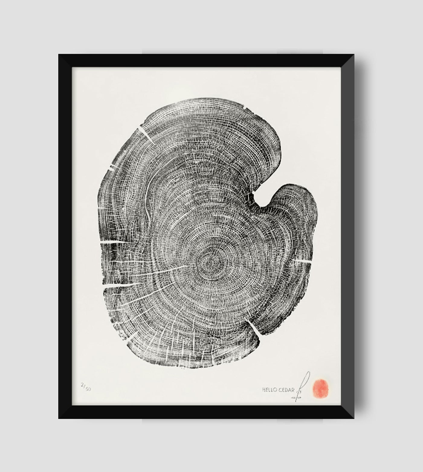 Marko Barakoski - Hello Cedar