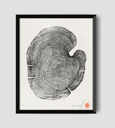 Marko Barakoski - Hello Cedar