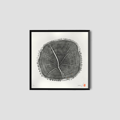 Marko Barakoski - Fraxinus