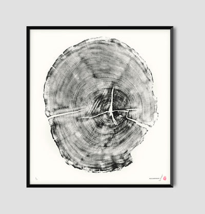 Marko Barakoski - Nuu Chah Nulth