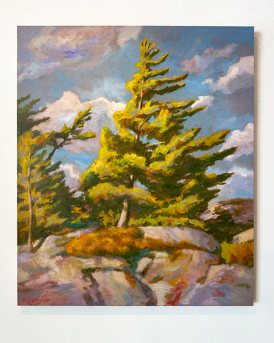 Douglas Edwards - Portrait of a Pine Tree