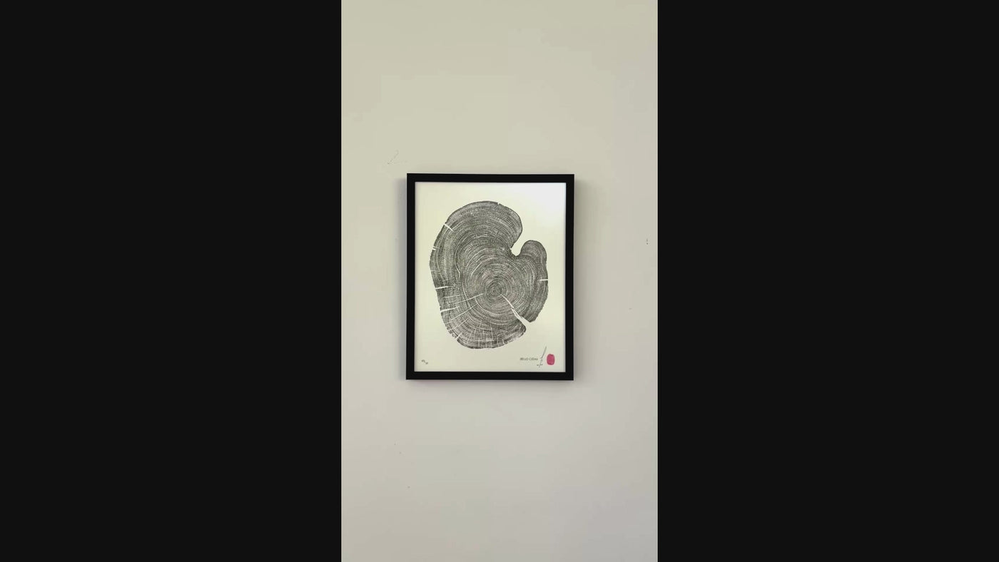 Marko Barakoski - Hello Cedar