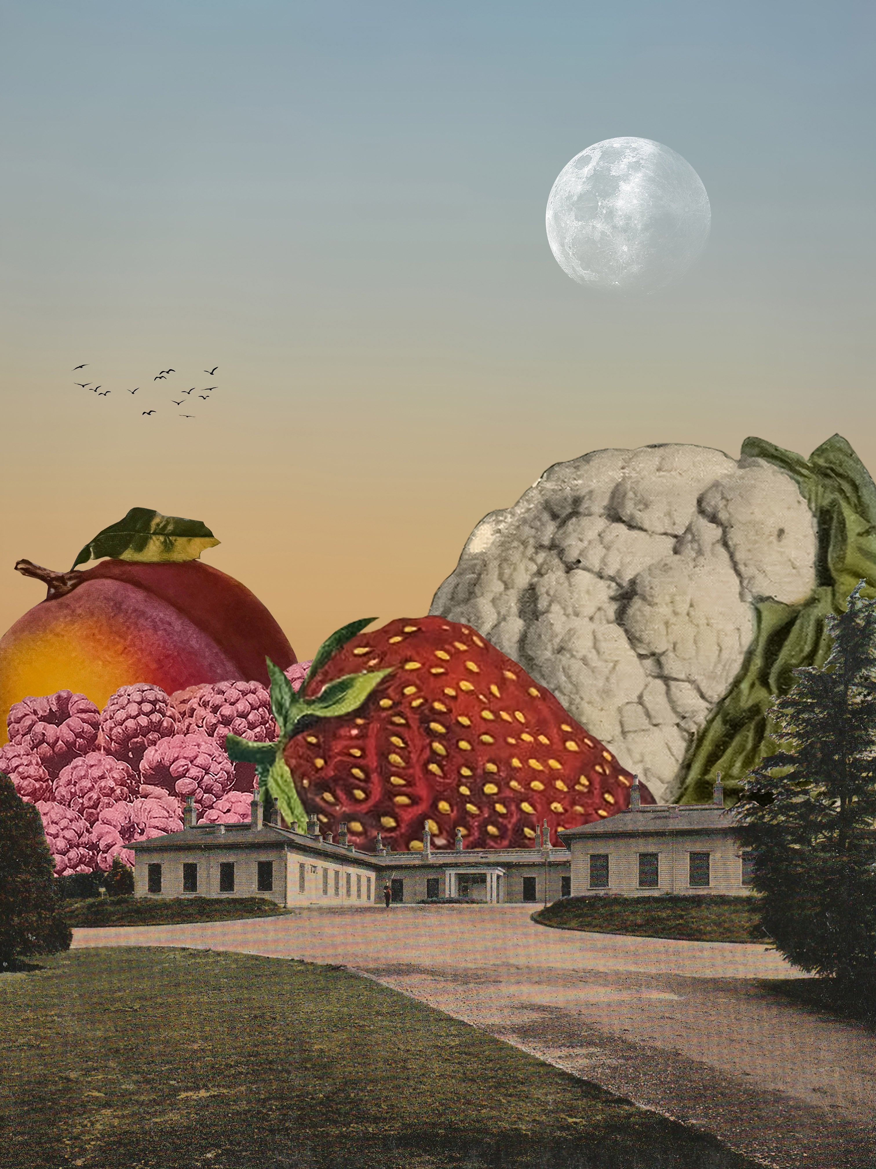 Alexander Hernandez - Country Living – AGH Art Sales + Services