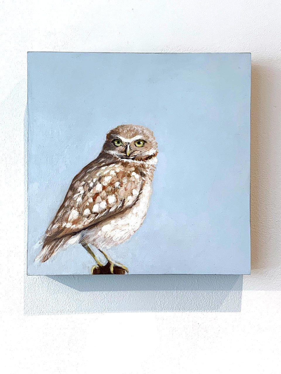 Deborah Cardinal Rhyason - Burrowing Owl