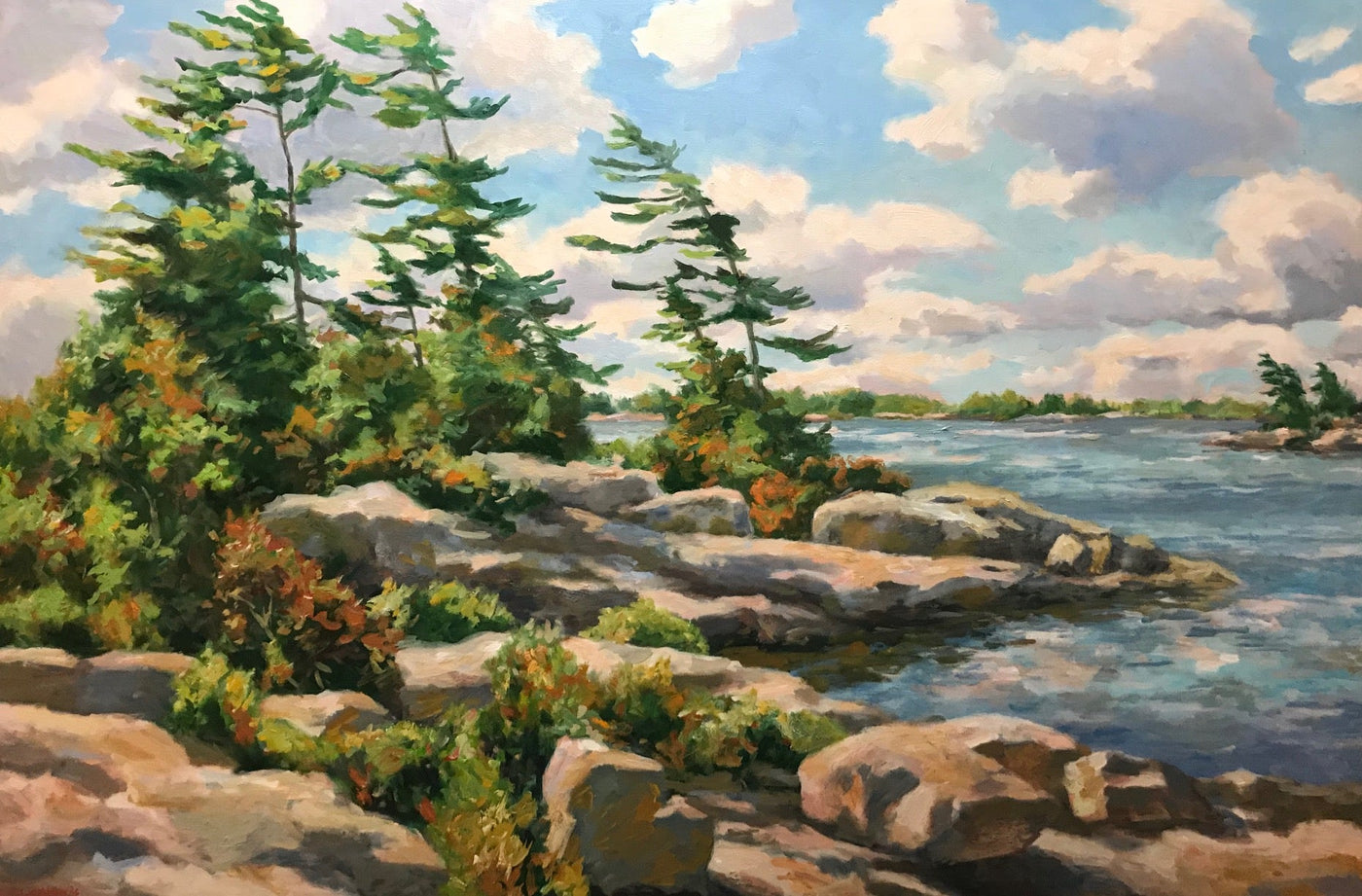 Douglas Edwards - Georgian Bay - Wild Rocks