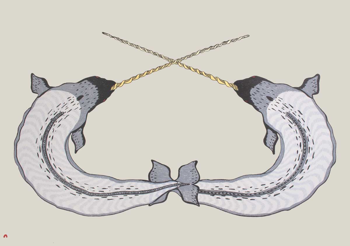 Sparring Narwhals Framed